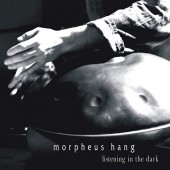Listening in the dark (2013)